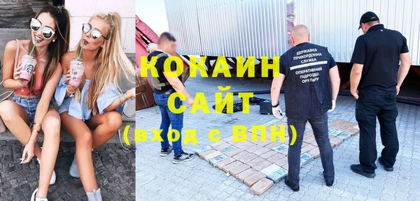 ГАЛЛЮЦИНОГЕННЫЕ ГРИБЫ Остров