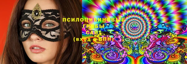 ГАЛЛЮЦИНОГЕННЫЕ ГРИБЫ Остров