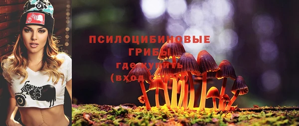 молекула духа Новодвинск