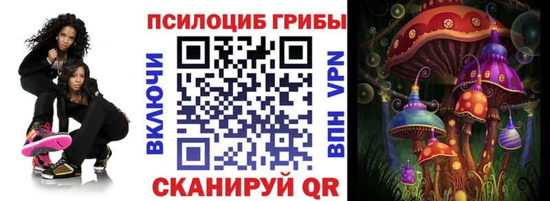 Псилоцибиновые грибы Cubensis  Купить закладки  Камышлов 